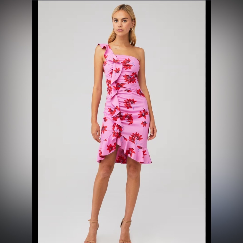 Likely Lois Pink and Red Floral Asymmetrical Dress